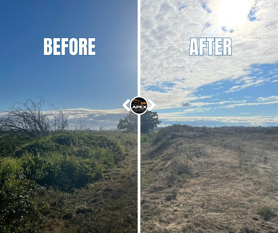 Before and after site preparation project